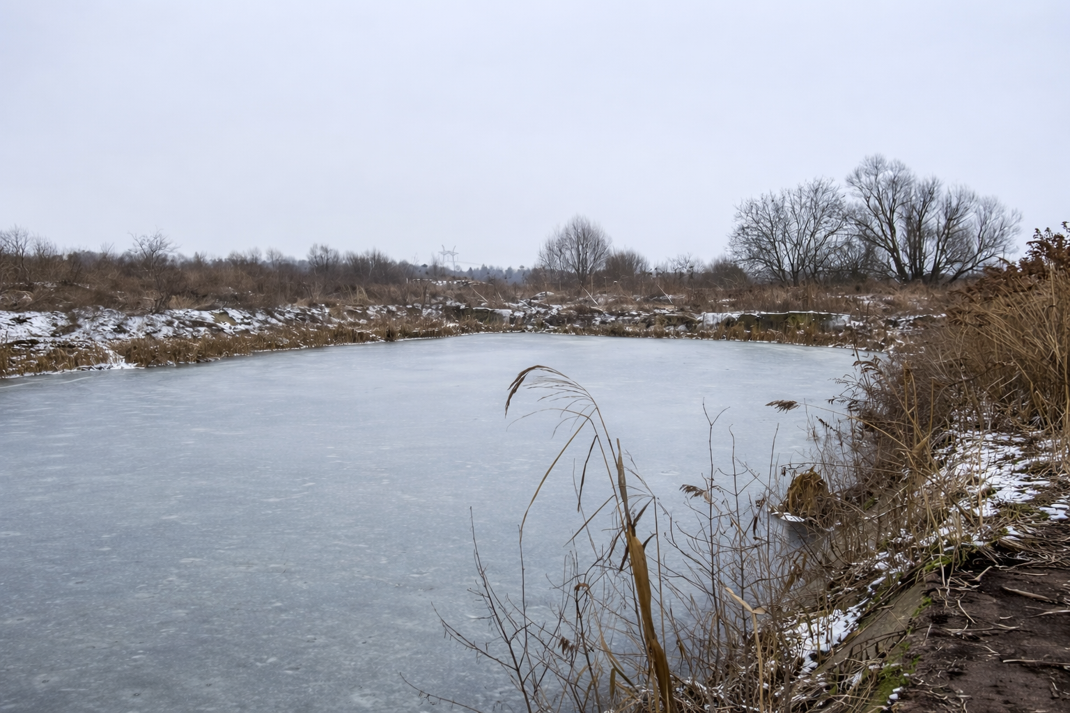 Работа RedHills — проект 36: очистка водоёмов, земляные работы, благоустройство