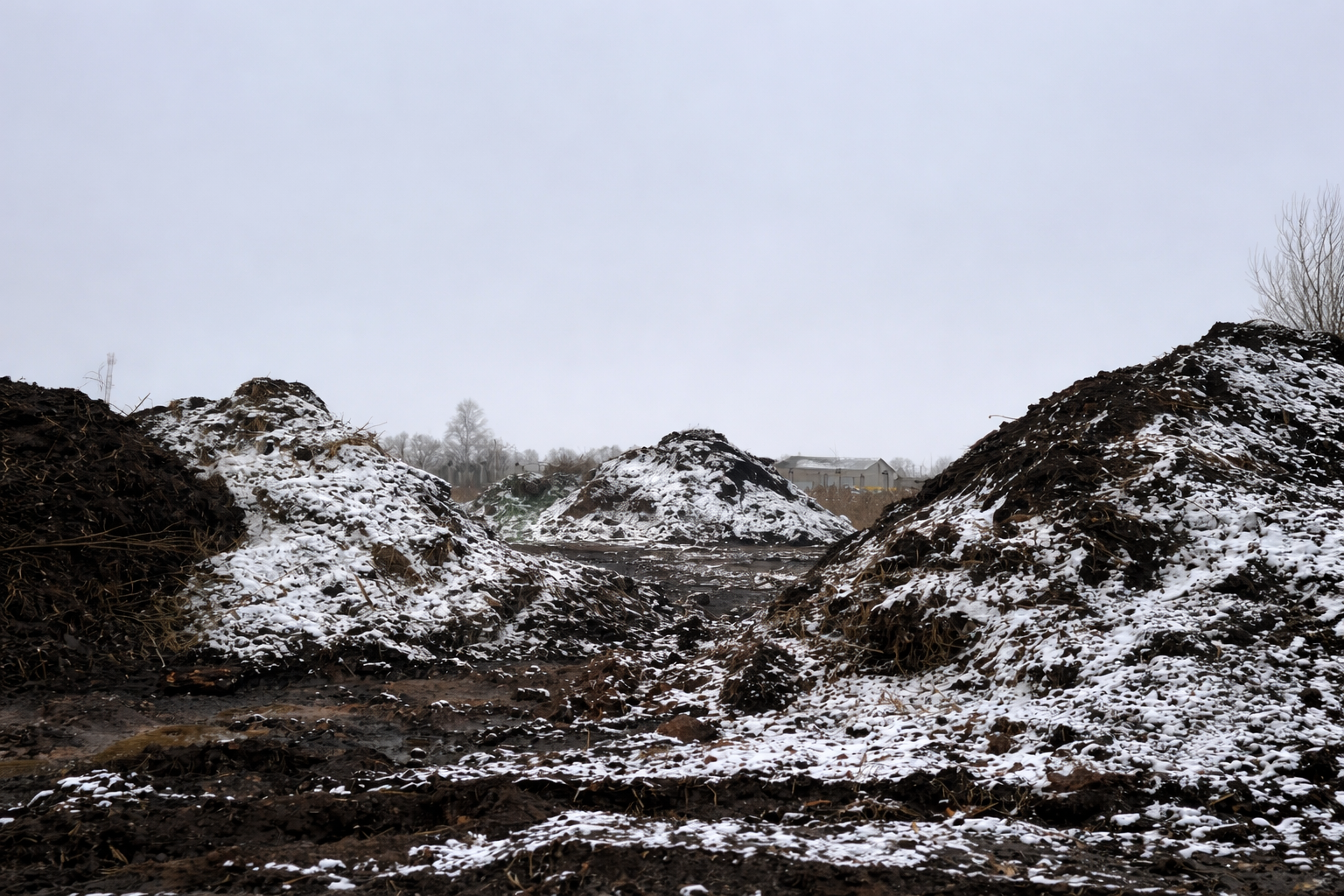 Работа RedHills — проект 24: очистка водоёмов, земляные работы, благоустройство