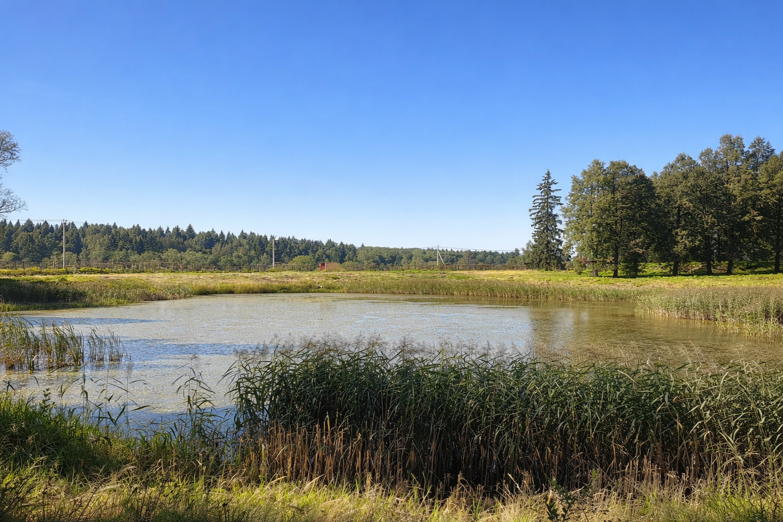 Работа RedHills — проект 54: очистка водоёмов, земляные работы, благоустройство