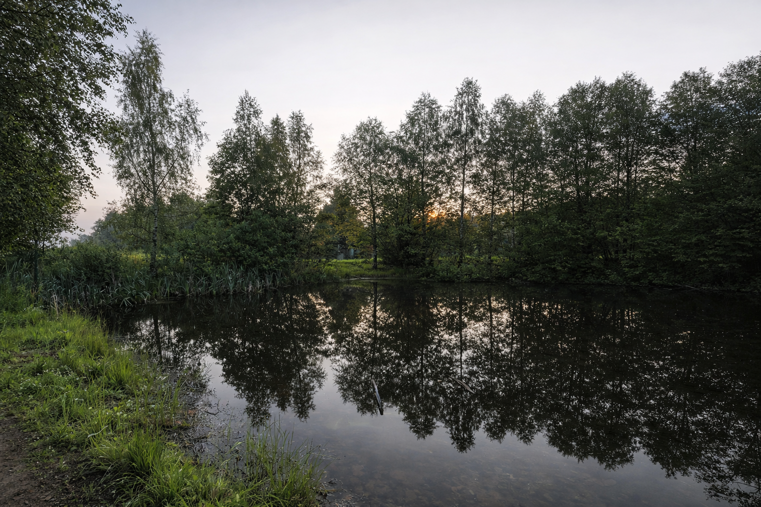 Работа RedHills — проект 19: очистка водоёмов, земляные работы, благоустройство