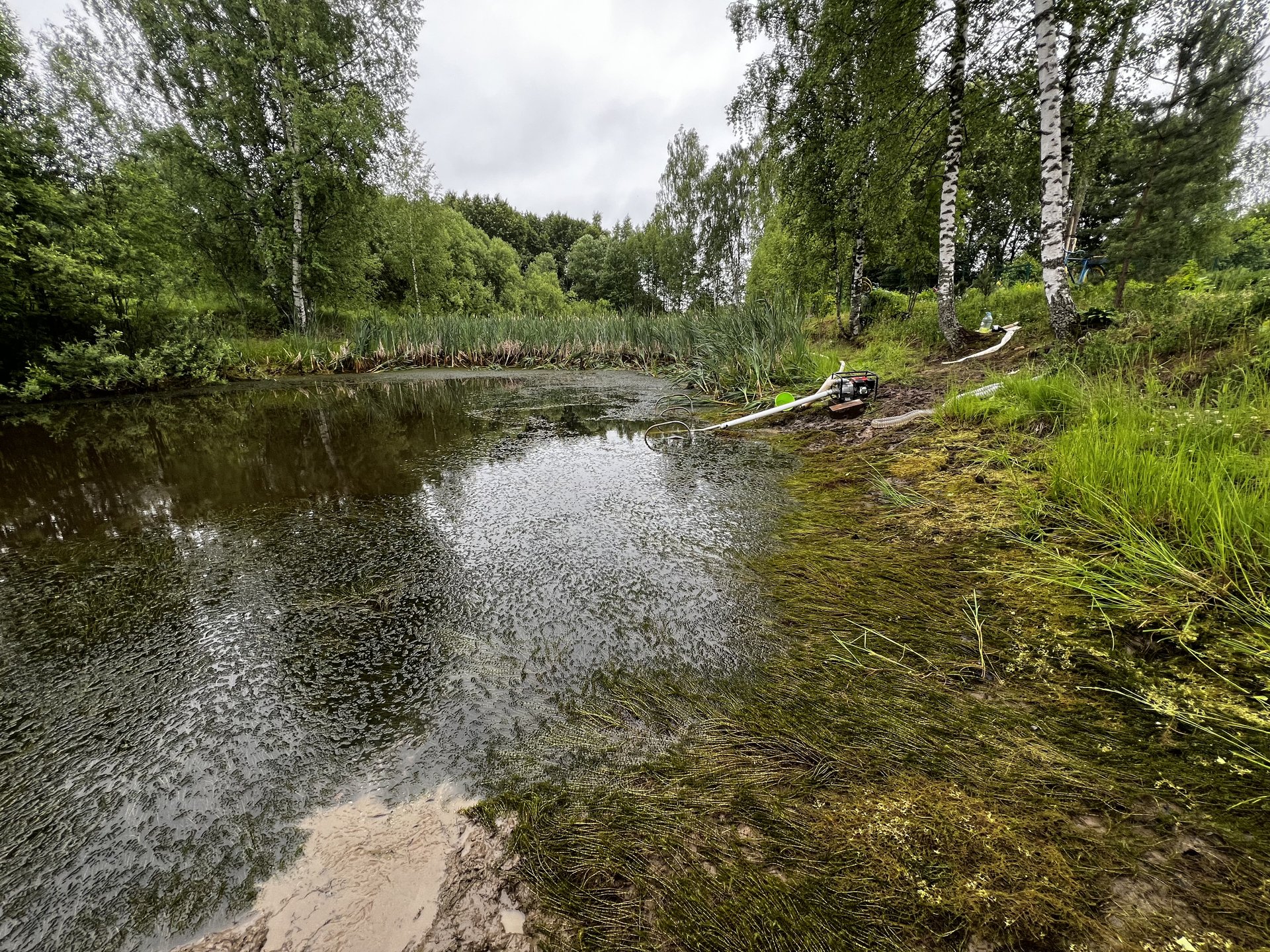 Расчистка водоёма